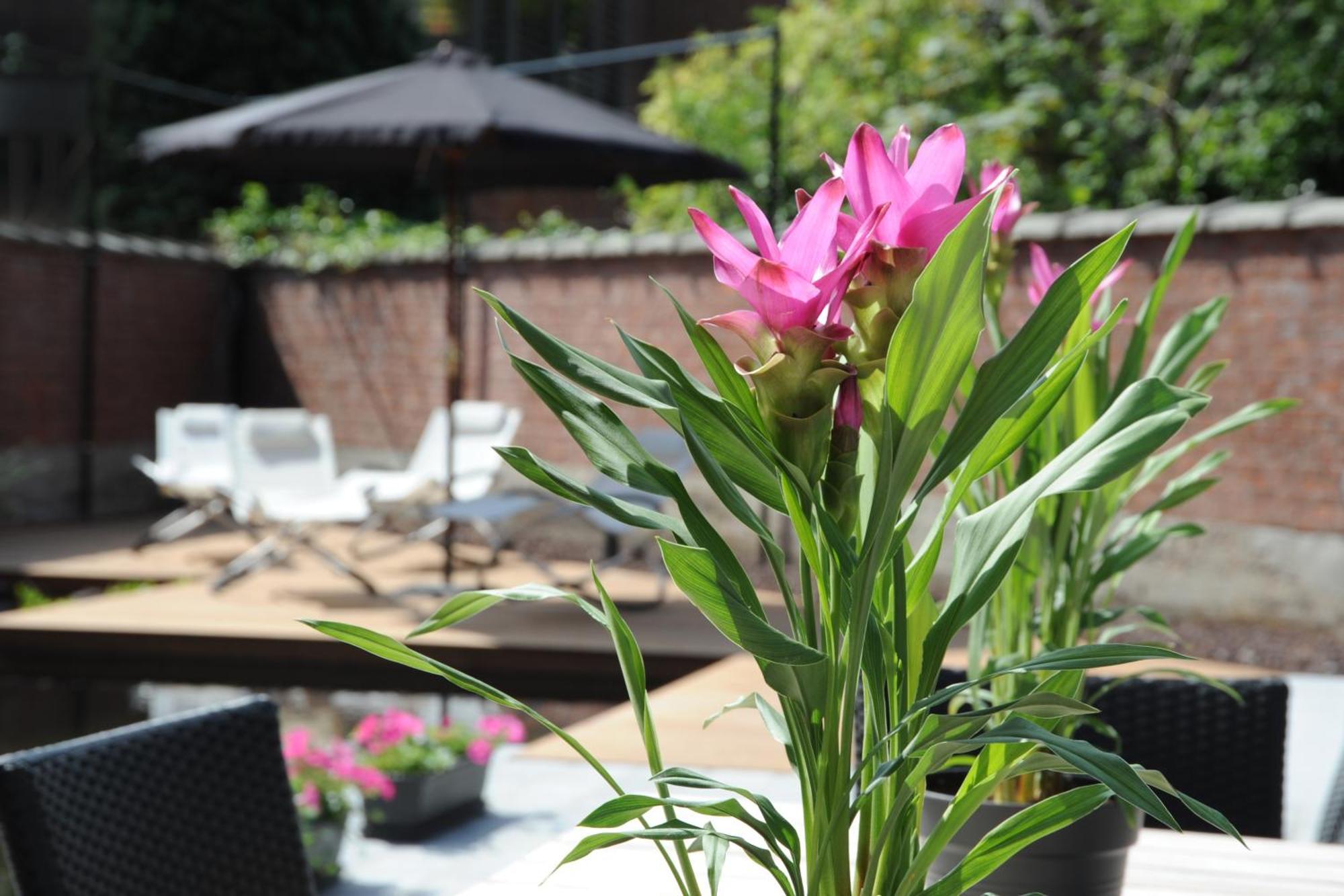 Charmehotel Villa Saporis Hasselt Dış mekan fotoğraf